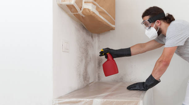 Professional Crawl Space Mold Remediation technician working in Robbinsville, NJ