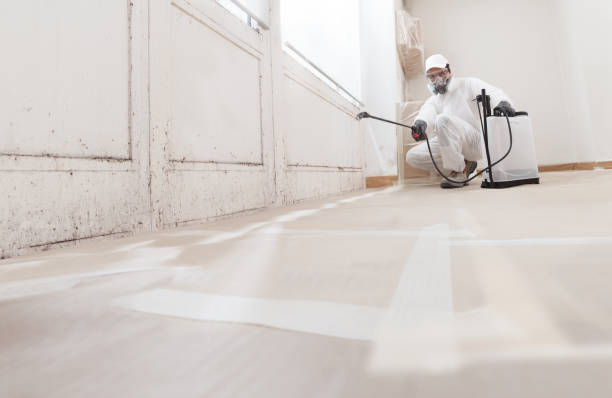 24/7 Emergency Crawl Space Mold Remediation experts in Robbinsville, NJ