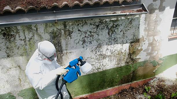 Top rated local Crawl Space Mold Remediation specialists in Robbinsville, NJ
